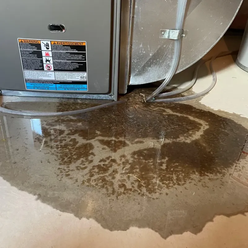 Appliance Leak Cleanup in Westphalia, MD